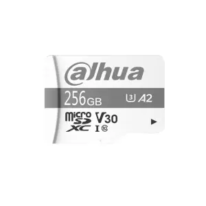 DAHUA TF-P100-256GB memorijska kartica